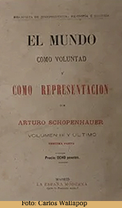 Schopenhauer-el mundo-303